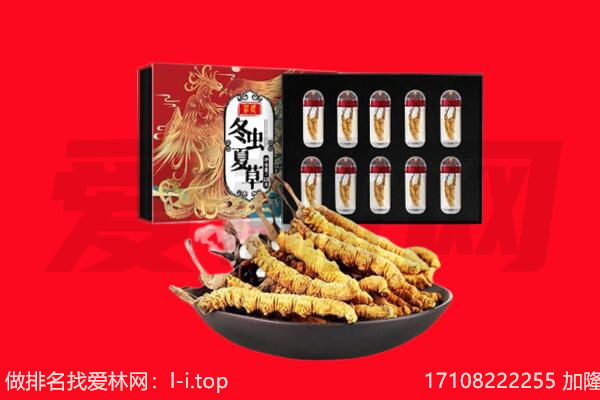 伊春市金林回收虫草.jpg